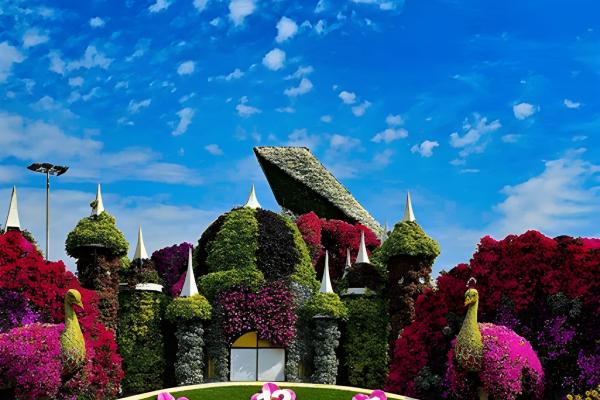 steptodown.com262207 (1)